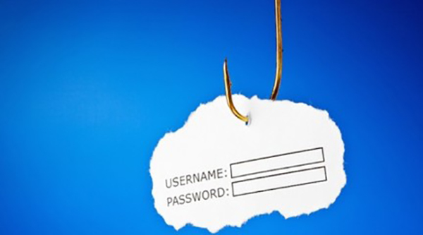 网络钓鱼 网络钓鱼