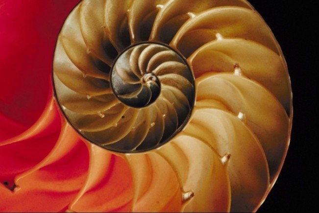 对于Windows管理员至关重要的10 个PowerShell安全脚本 对于Windows管理员至关重要的10 个PowerShell安全脚本